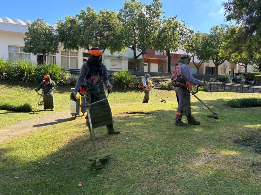 Municipio de Villa Alemana fortalece trabajos de limpieza y desmalezado preventivo