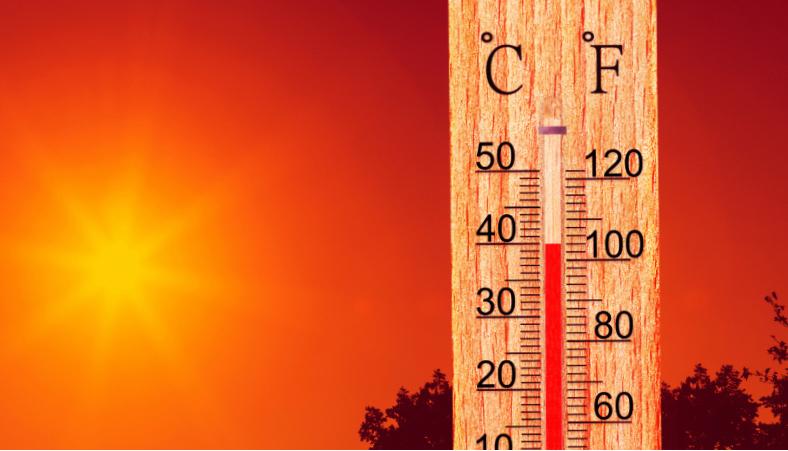 Alerta por calor extremo en la Región de Valparaíso: máximas de hasta 37 °C en sectores interiores