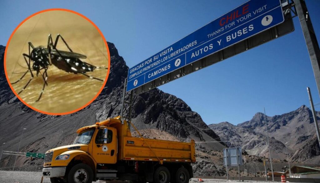 Minsal confirma que mosquito hallado en Paso Los Libertadores es vector del dengue