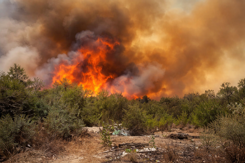 Rápida acción de Conaf y Bomberos frente a incendio forestal en La Calera