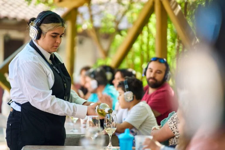 Fiesta de la Vendimia de Casablanca 2026: fechas, actividades y el rol clave de estudiantes en las catas de vino