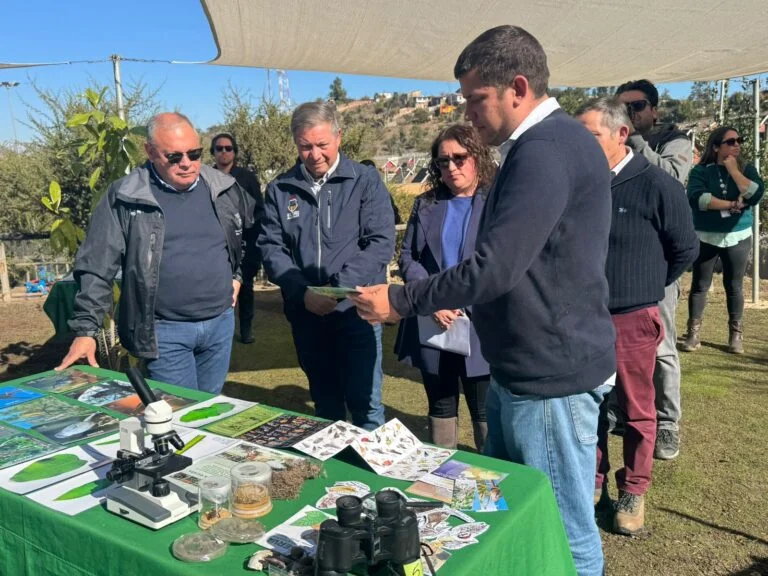Villa Alemana proyecta transformar Parque La Reserva en el primer Parque Metropolitano de la Región de Valparaíso