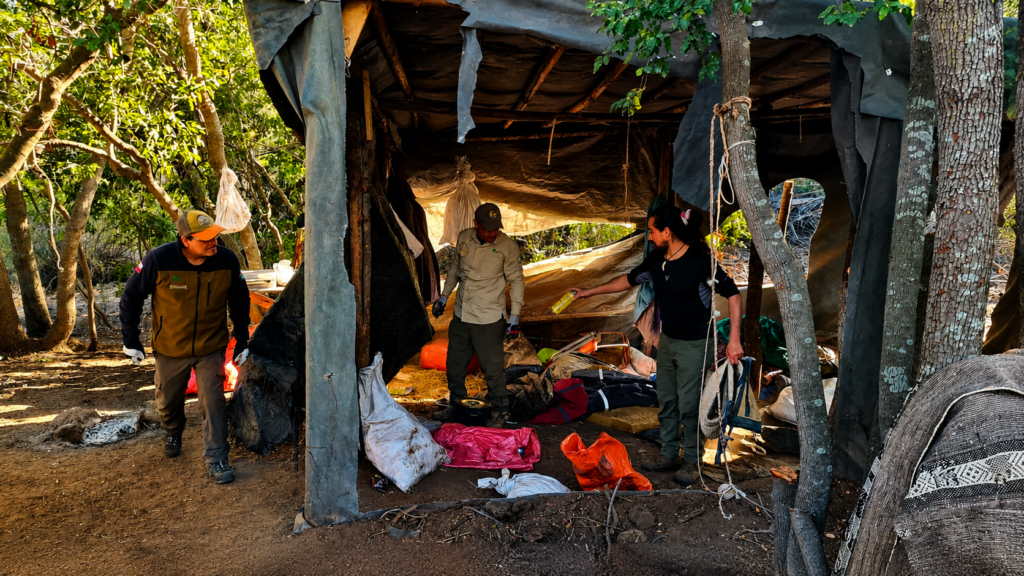 Desmantelan campamento ilegal tras detectar daño a bosque nativo en Parque Nacional La Campana