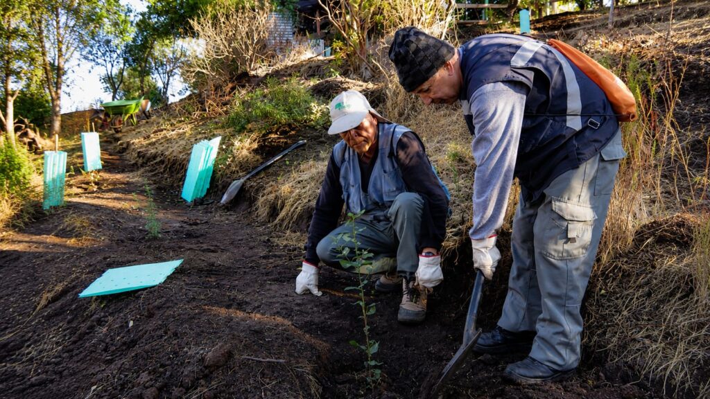CONAF iniciará plantación de 4.100 especies nativas en Parque Urbano Natural de La Ligua
