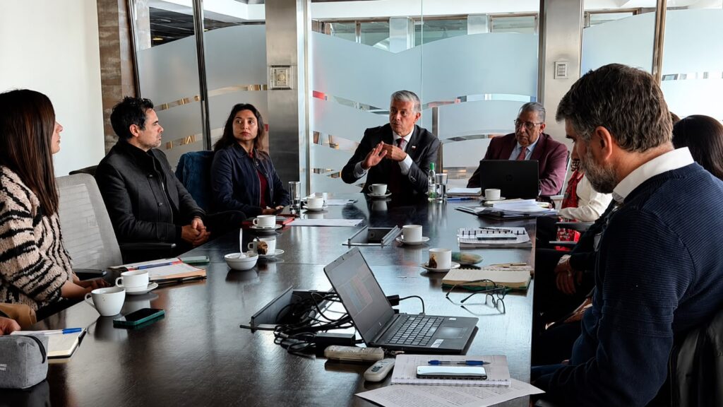 Gobierno avanza en plan de salud mental para familias afectadas por el megaincendio de Valparaíso