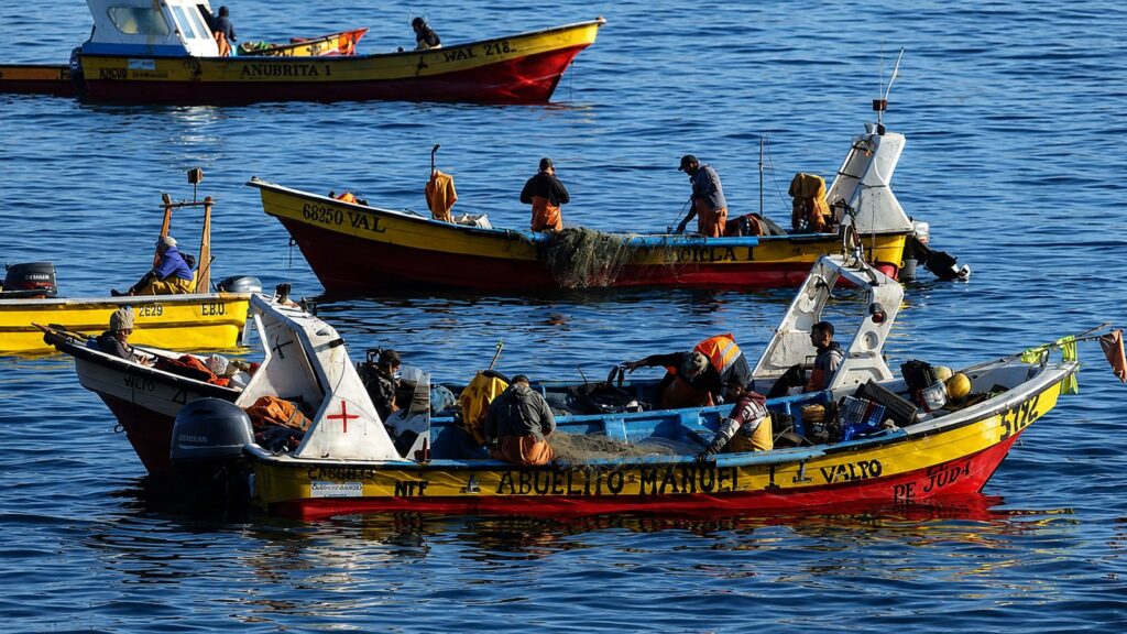 Paro indefinido de pescadores en Valparaíso escala: gremios exigen medidas urgentes por crisis de la jibia
