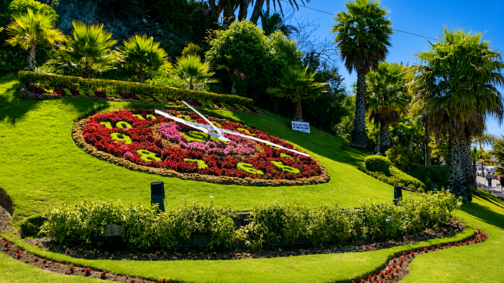 Vacaciones de invierno: Viña del Mar despliega programación cultural, deportiva y familiar