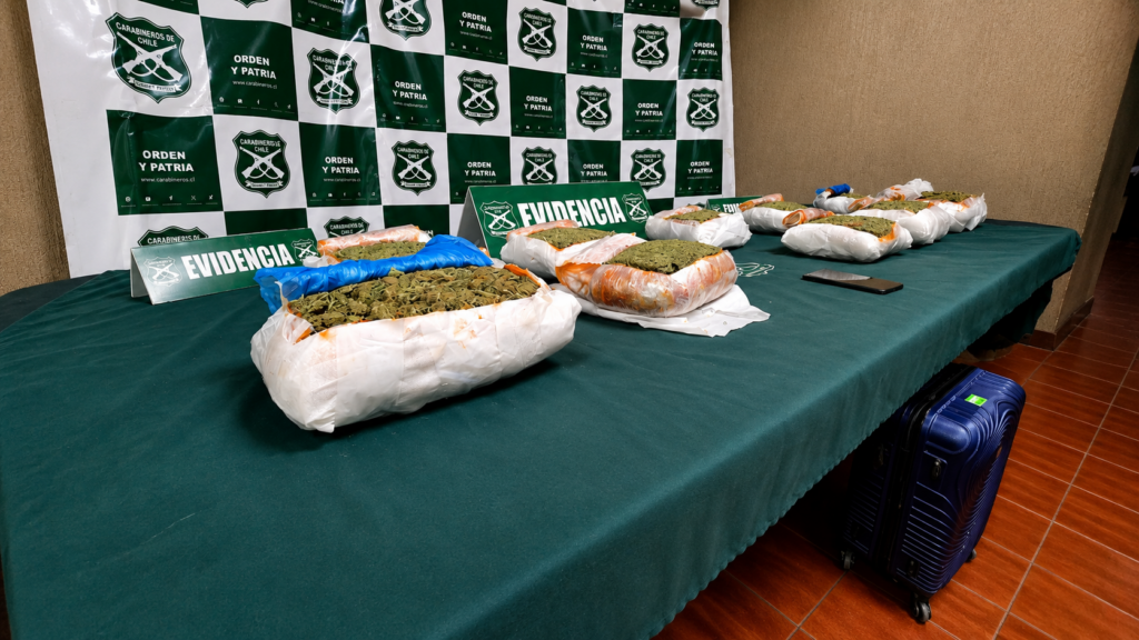 Incautan casi ocho kilos de marihuana en bus interprovincial durante control en Nogales