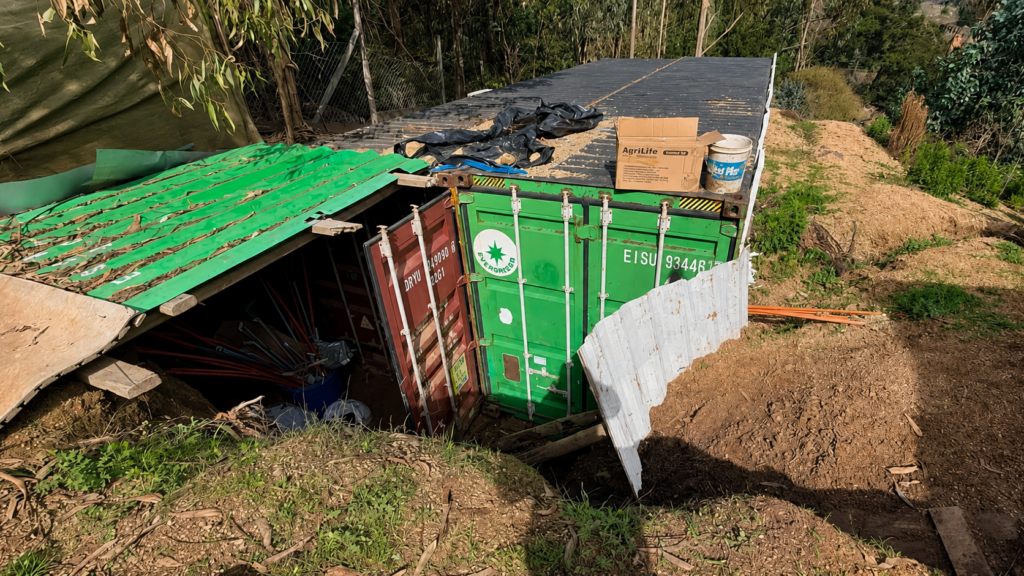 Detienen a dos personas tras hallar container enterrado con 500 plantas de marihuana en El Quisco