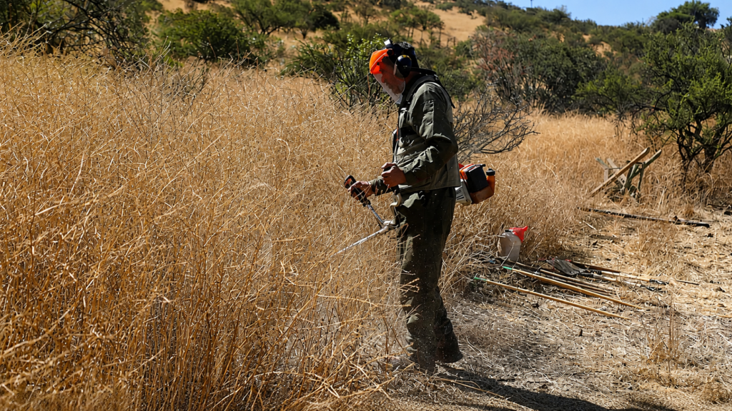 Contraloría detecta solo 4% de avance en obras de prevención de incendios en Valparaíso