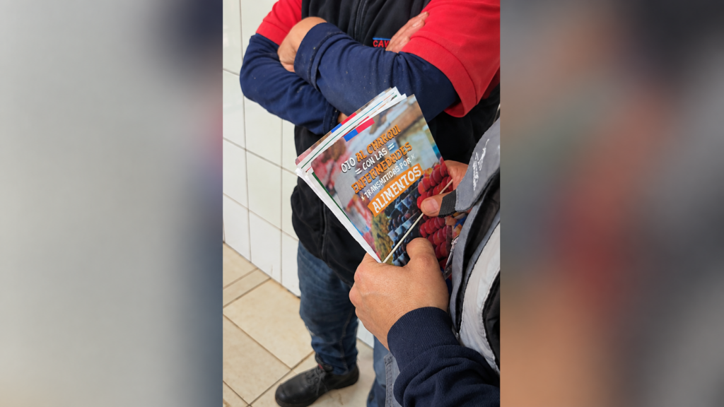 Seremi de Salud cursa 48 sumarios y decomisa más de 708 kilos de alimentos en fiscalizaciones por Fiestas Patrias