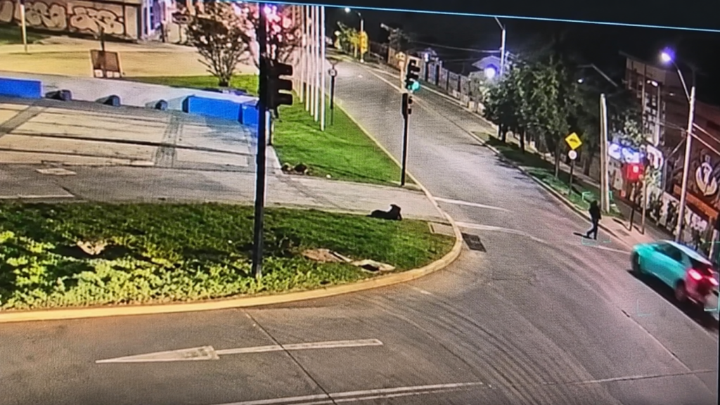 Hombre queda en prisión preventiva tras accidente que dejó una mujer fallecida en San Felipe