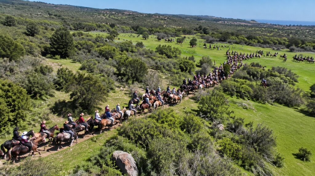 Puchuncaví vivirá una nueva fiesta de tradiciones con la XXVI Cabalgata Regional